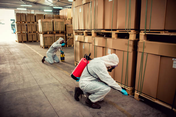 Best Residential Pest Control  in Glenwood, AR