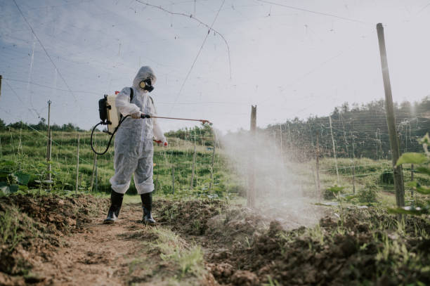 Best Best Pest Control Companies  in Glenwood, AR