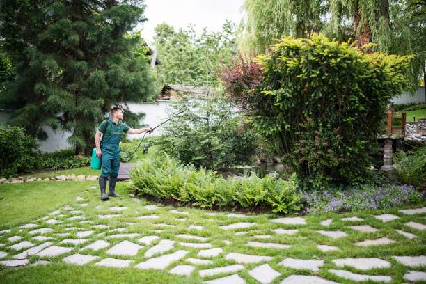 Best Wasp Removal Services  in Glenwood, AR