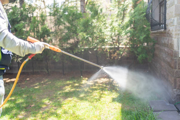Best Local Pest Control Services  in Glenwood, AR
