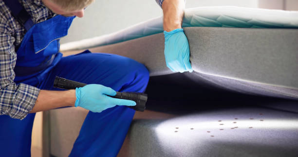 Best Ant Control Services  in Glenwood, AR