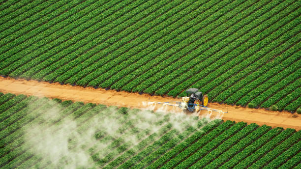 Best Best Pest Control Companies  in Glenwood, AR
