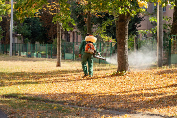 Trusted Glenwood, AR Pest Control Experts