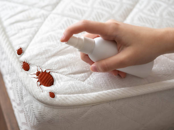 Best Bed Bug Extermination  in Glenwood, AR