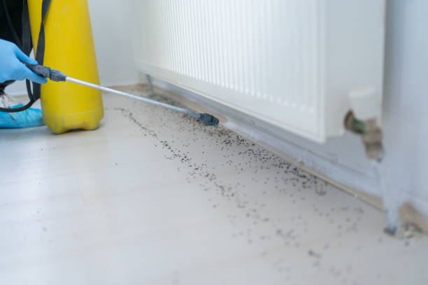 Best Pest Control for Restaurants  in Glenwood, AR