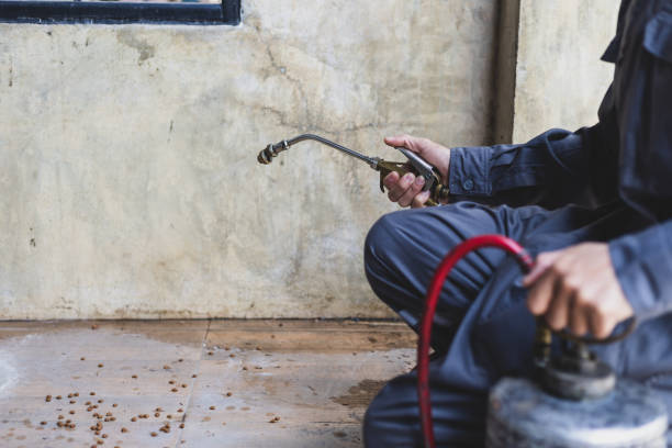 Best Affordable Exterminators  in Glenwood, AR