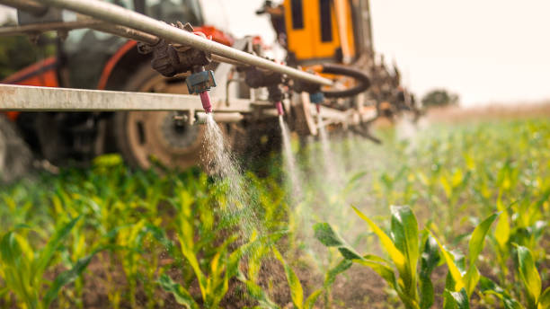 Best Pest Control Near Me  in Glenwood, AR
