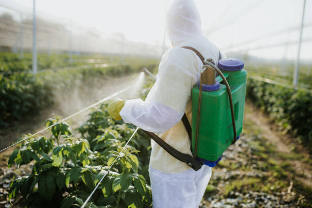 Best Exterminator Services  in Glenwood, AR